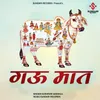 About Gau Mat Song